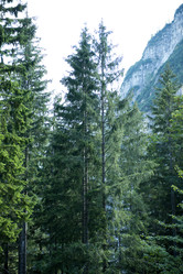 Similar image 22057783