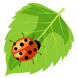 Similar image 22057104