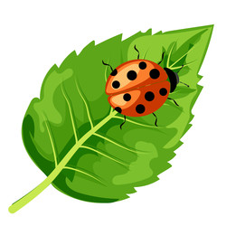 Similar image 22057106