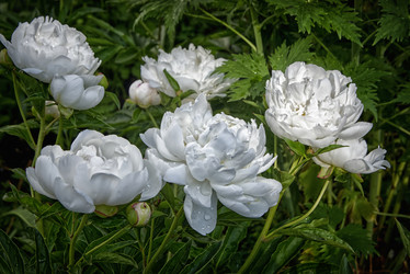 Similar image 22057563