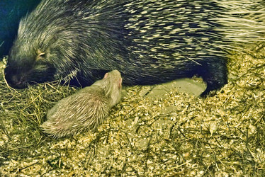 Similar image 22057564