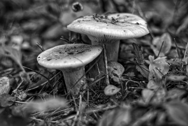 Similar image 22057565