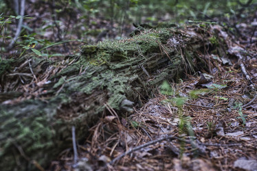 Similar image 22057566