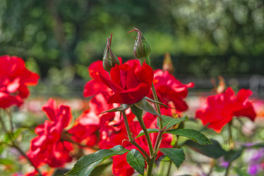 Similar image 22057567