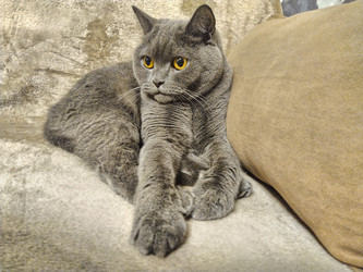 Similar image 22057570