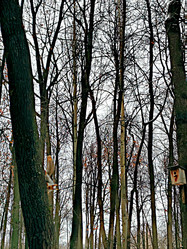 Similar image 22056557