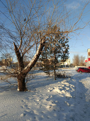 Similar image 22056558