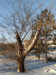 Similar image 22056559