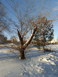 Similar image 22056560