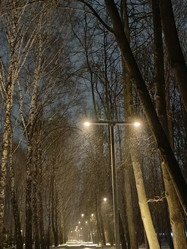 Similar image 22056561