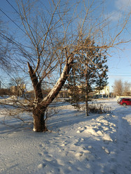 Similar image 22056563