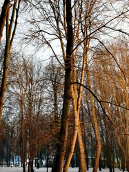 Similar image 22056564