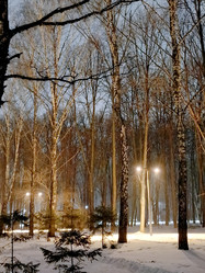 Similar image 22056565