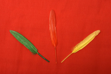 Similar image 22057070