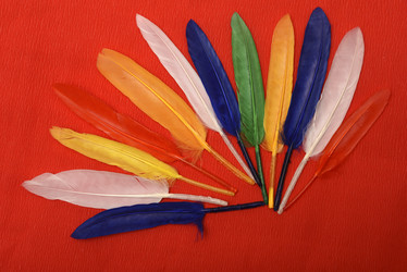 Similar image 22057072