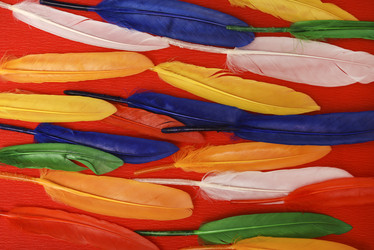 Similar image 22057077