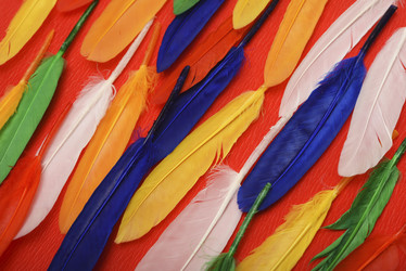 Similar image 22057079