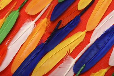 Similar image 22057081