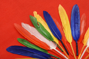 Similar image 22057082