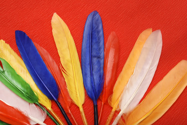 Similar image 22057083