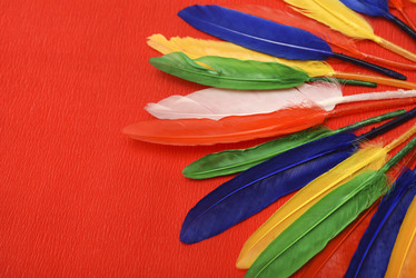 Similar image 22057086