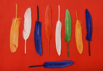 Similar image 22057087