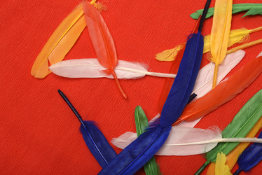 Similar image 22057089