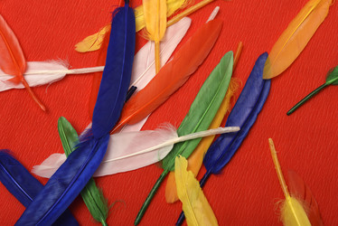 Similar image 22057090