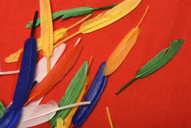 Similar image 22057092