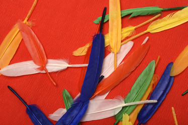 Similar image 22057093