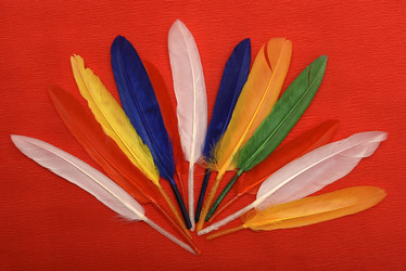 Similar image 22057094