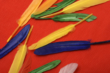 Similar image 22057096