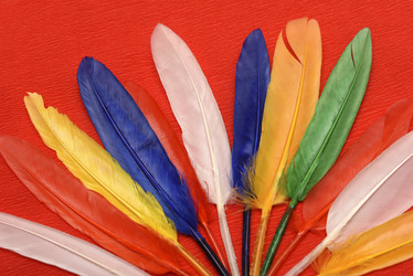 Similar image 22057097