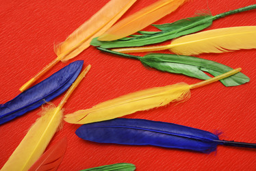 Similar image 22057098