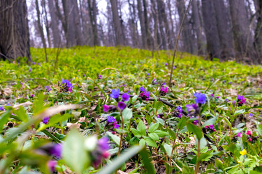 Similar image 22057258