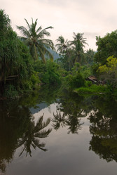 Similar image 22056576