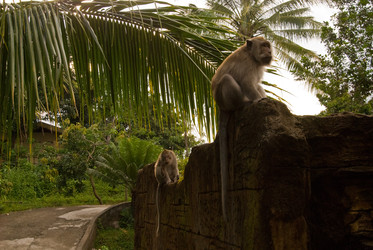 Similar image 22056577