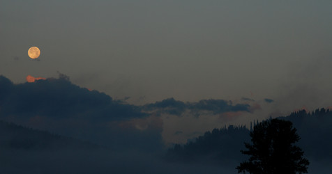 Similar image 22056578