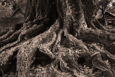 Similar image 22056580