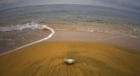 Similar image 22056581