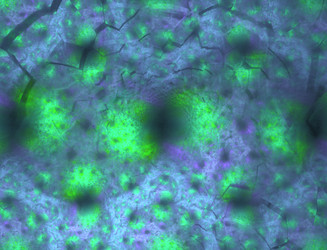 Similar image 22056971