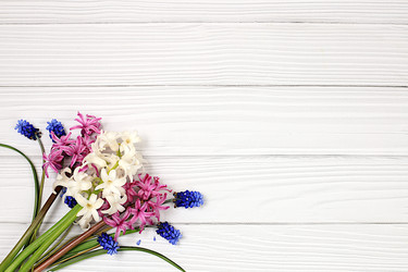 Similar image 22057278