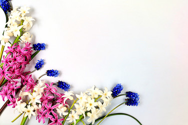 Similar image 22057281