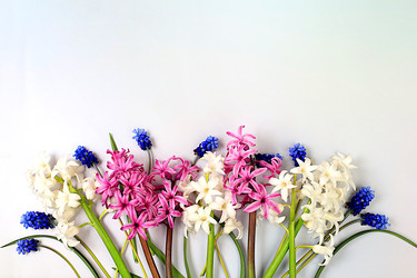 Similar image 22057282