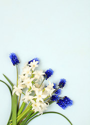 Similar image 22057284