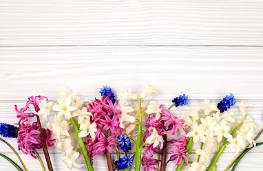 Similar image 22057285