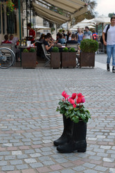 Similar image 22057787