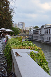 Similar image 22057788