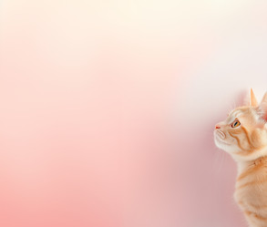 Similar image 22057477