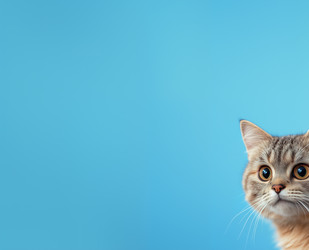 Similar image 22057483